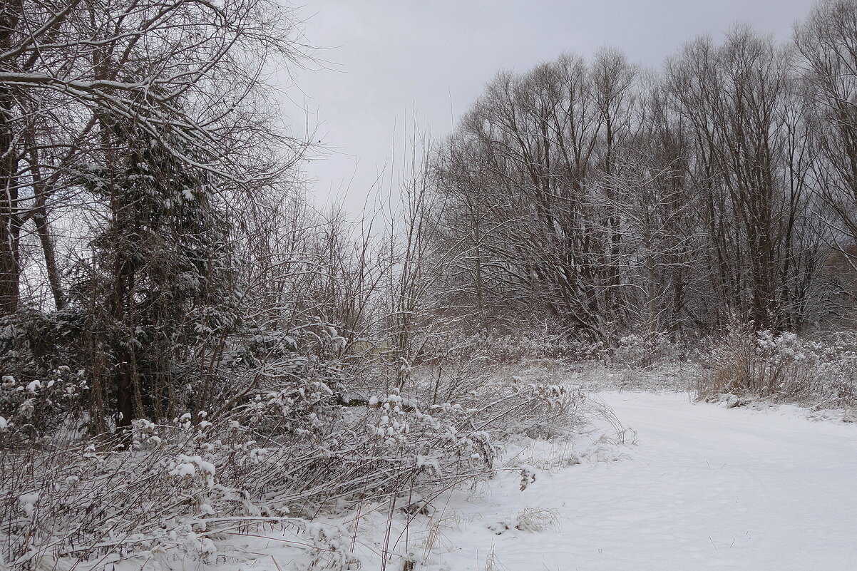 Бесцветный, неприметный февраль - Рита Симонова