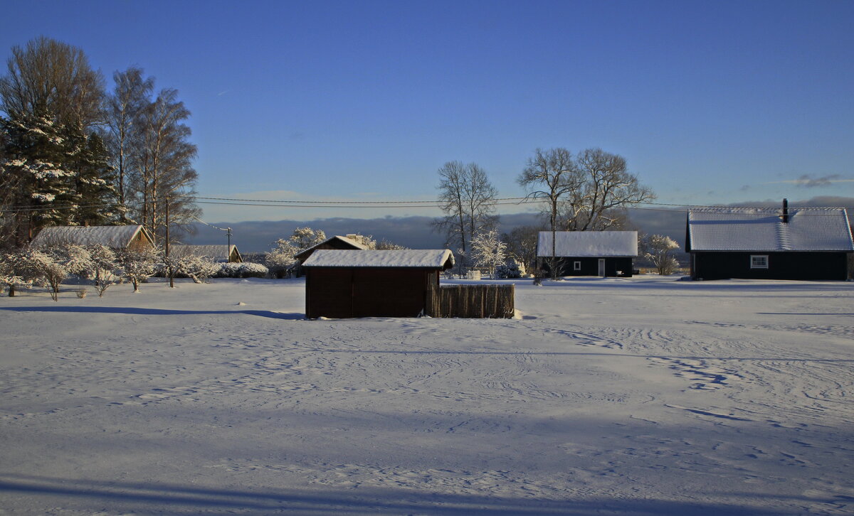 Зимние прогулки.. - Татьян@ Ивановна Зимние прогулки.. - Татьян@ Ивановна