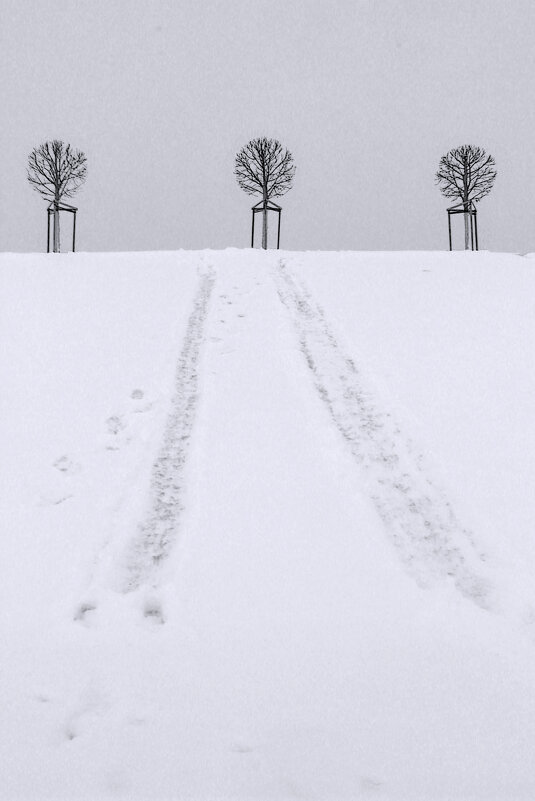 *** - Сергей Григорьев