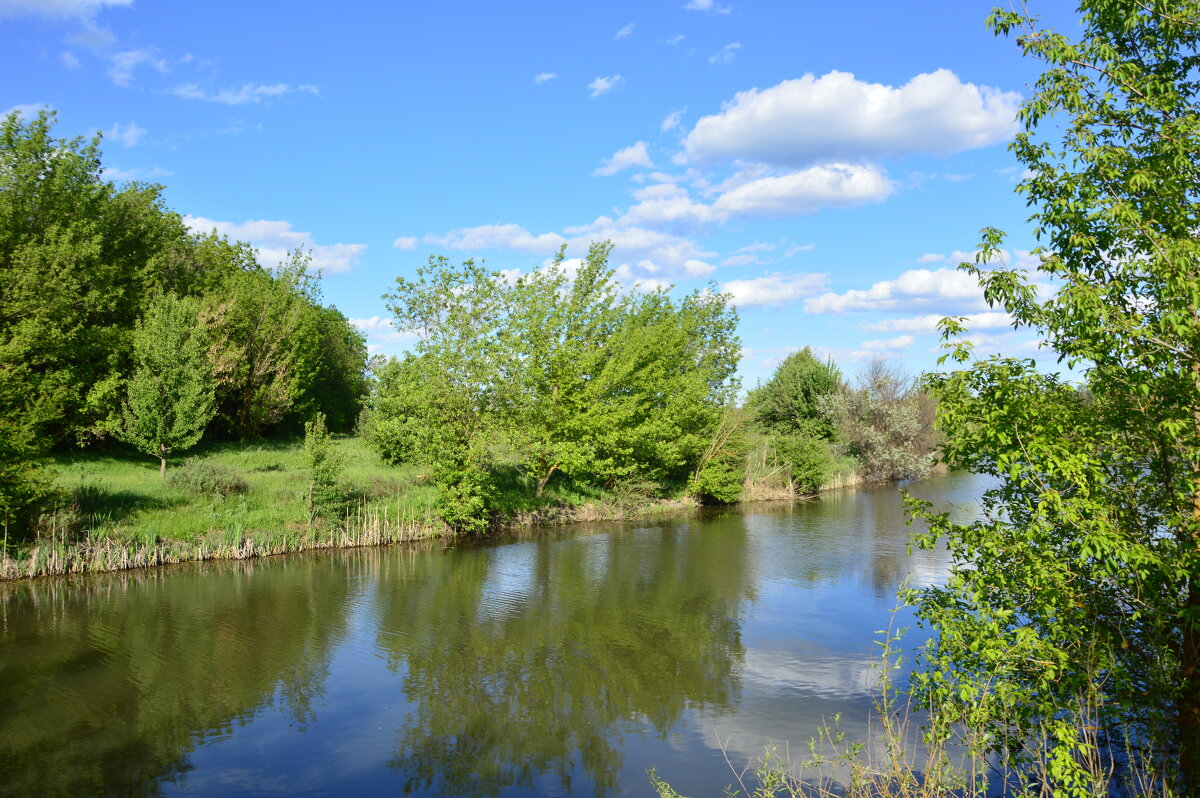 Донские виды. - Виктор 