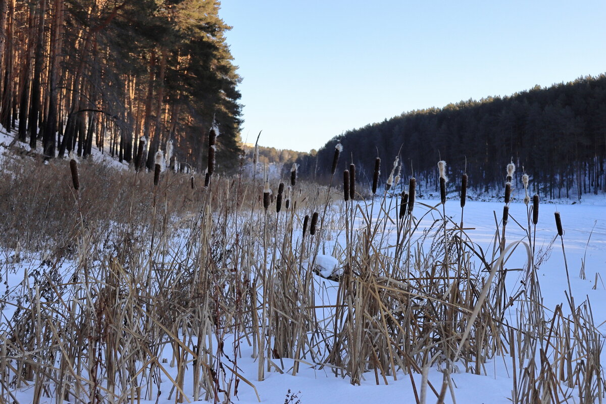 * - Александр Николаев * - Александр Николаев