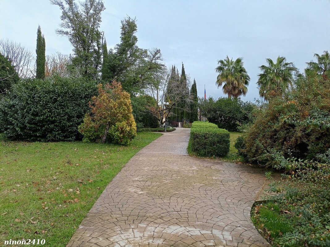 Адлер. Дендропарк "Южные культуры" - Нина Бутко Адлер. Дендропарк "Южные культуры" - Нина Бутко