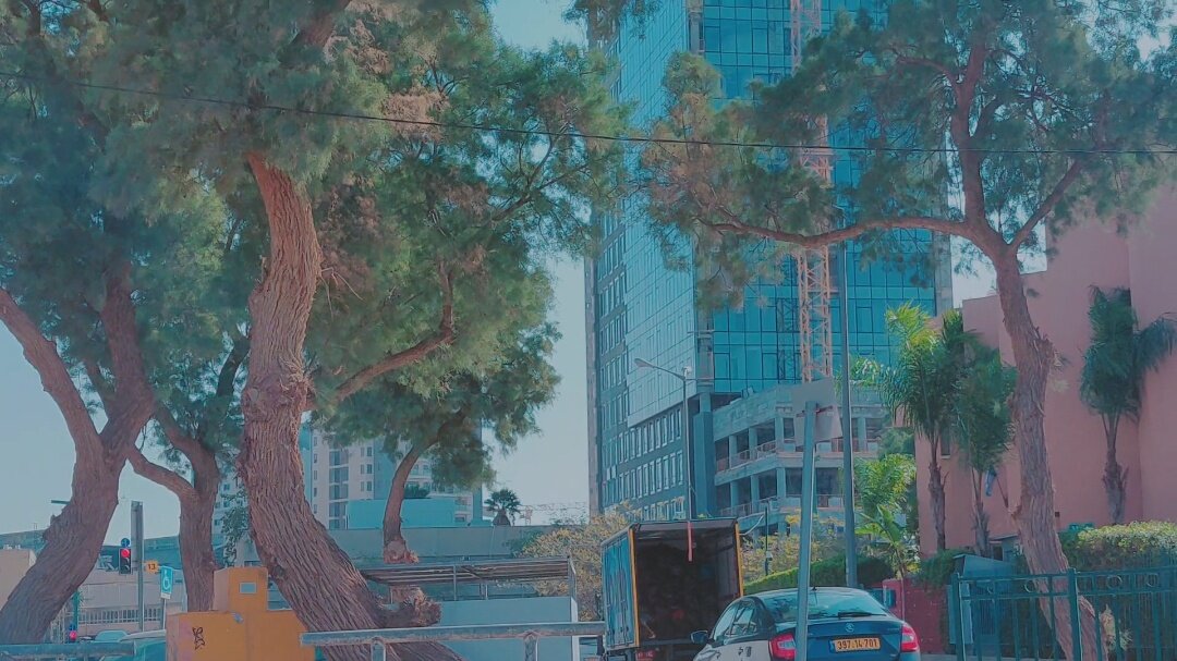 109 (116) - СТРЕН 