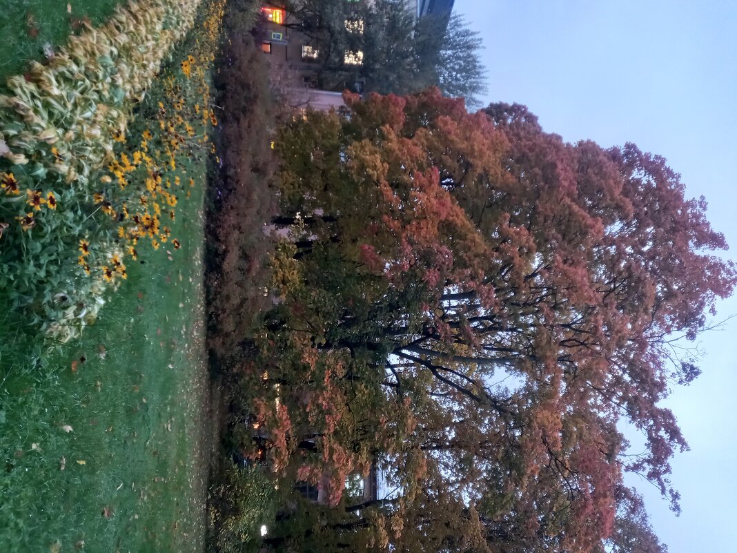 Осень - Сапсан 