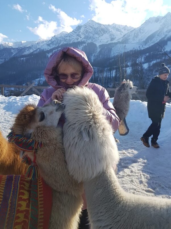 КРАСНАЯ ПОЛЯНА. ФЕВРАЛЬ 2025 - Tata Wolf