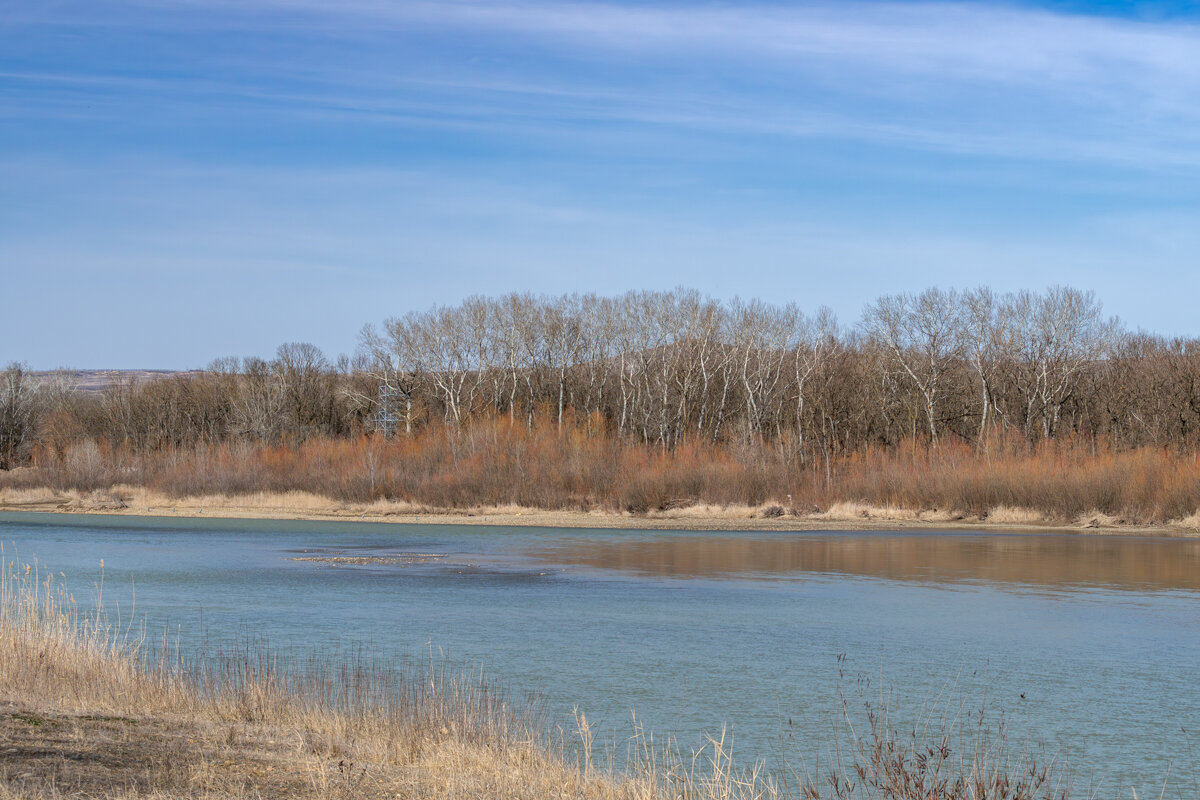 Река Кубань, Успенский район - Игорь Сикорский Река Кубань, Успенский район - Игорь Сикорский