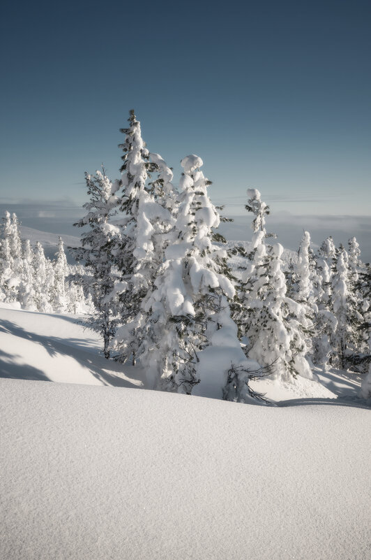 * - Александр Иванов