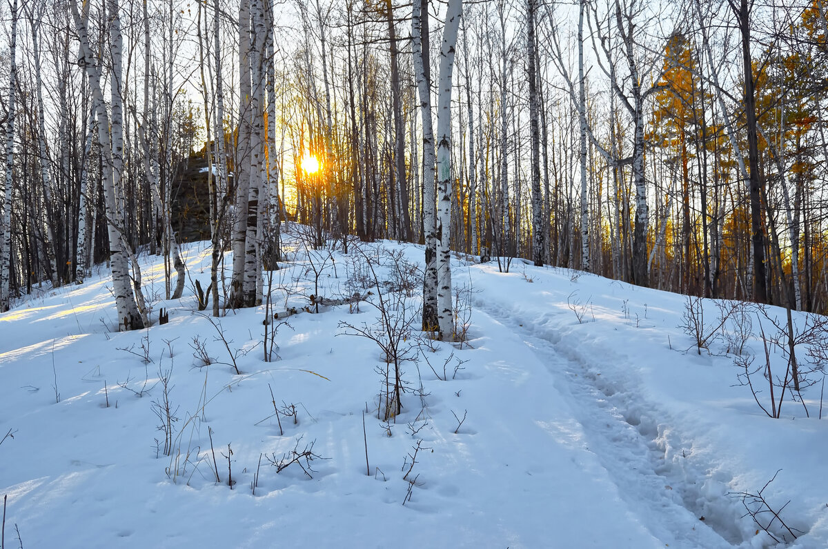 Тропинка к солнцу. - Юрий кот