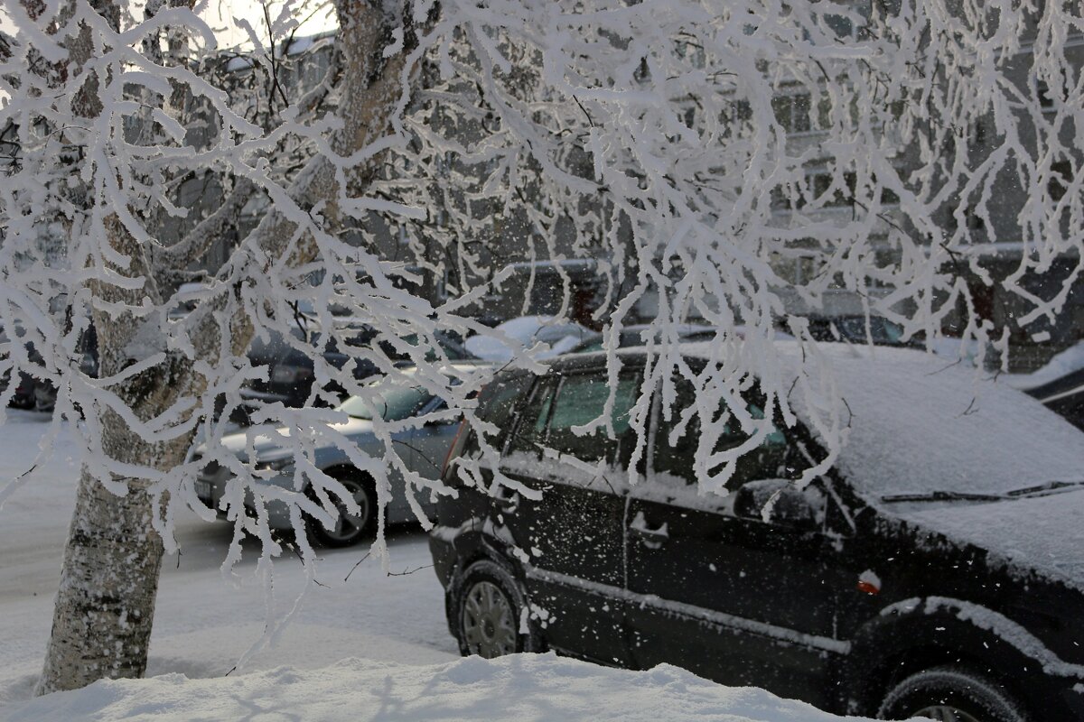 Зимние дни - Ольга 