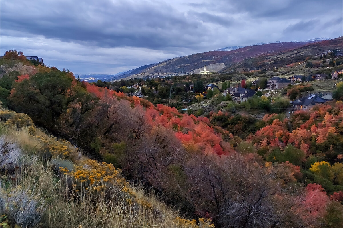 Осень - **** vedin Осень - **** vedin