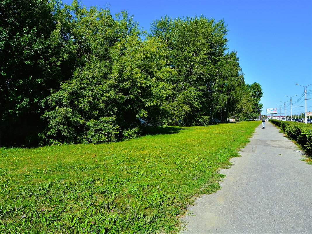 Чебоксары. Лужайка вдоль улицы Калинина летом. - Пётр Чернега Чебоксары. Лужайка вдоль улицы Калинина летом. - Пётр Чернега
