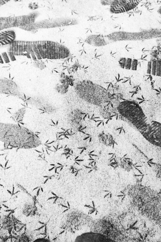 Натоптали - red-cat.25 red-cat.25