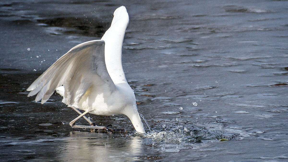 Живой спининг - Alexandеr P