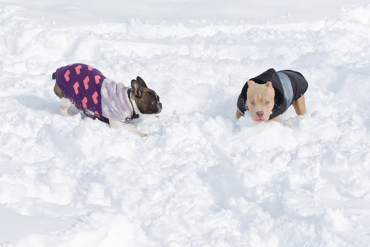 Ростовские зарисовки - Александр Гапоненко Ростовские зарисовки - Александр Гапоненко