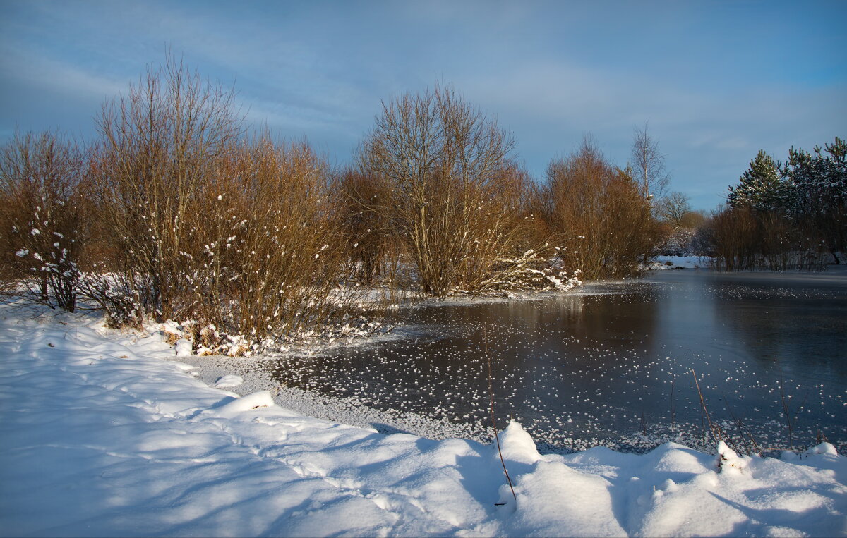 Зимой у пруда - lady v.ekaterina Зимой у пруда - lady v.ekaterina