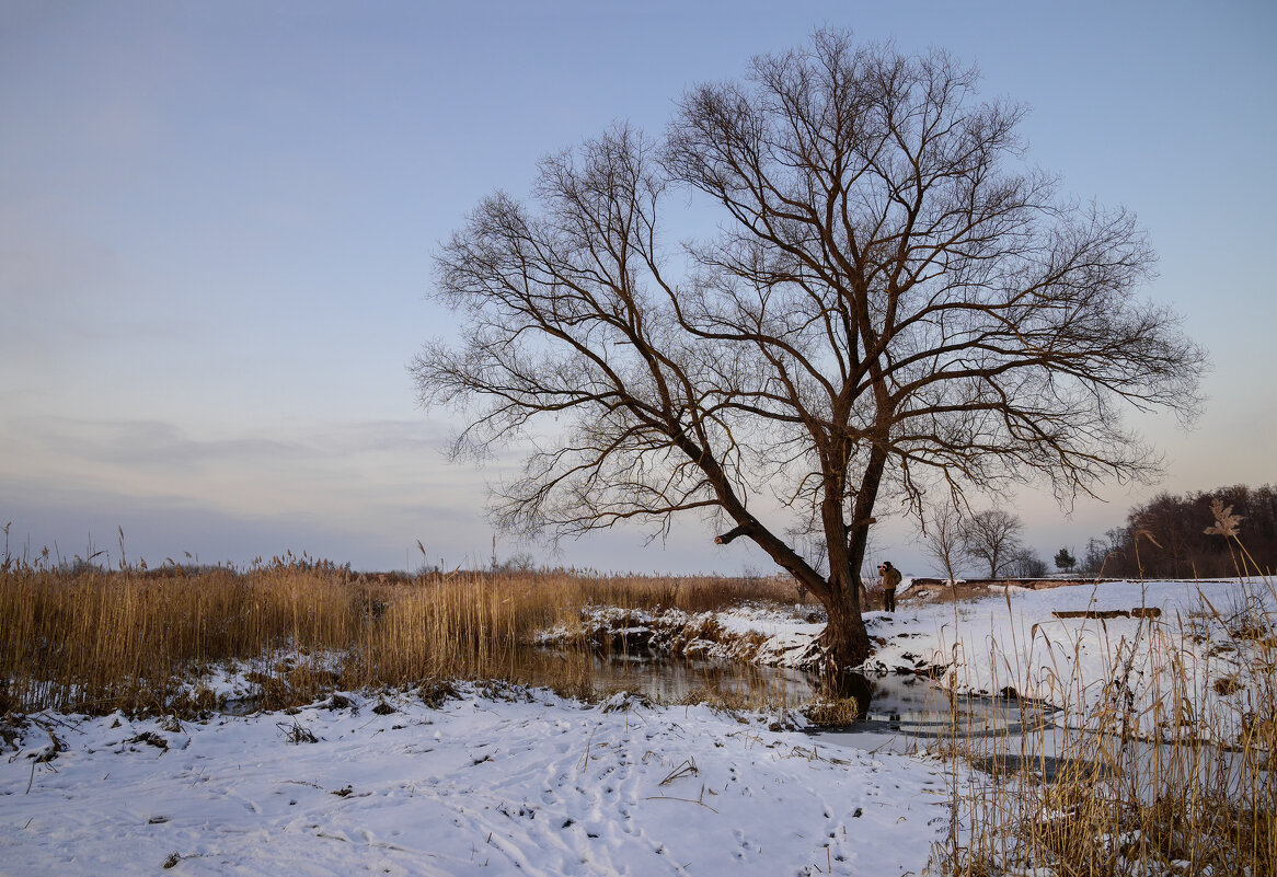 В предзакатном свете - Валерий VRN