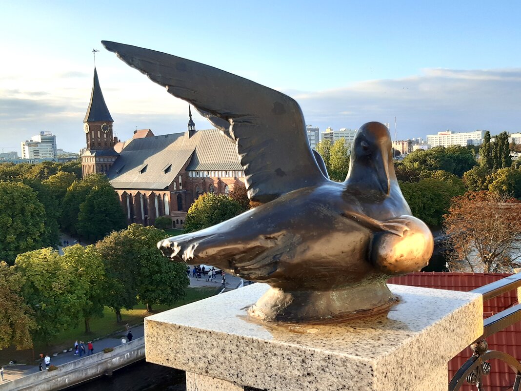 Прогулки по Калининграду - Галина Минчук Прогулки по Калининграду - Галина Минчук