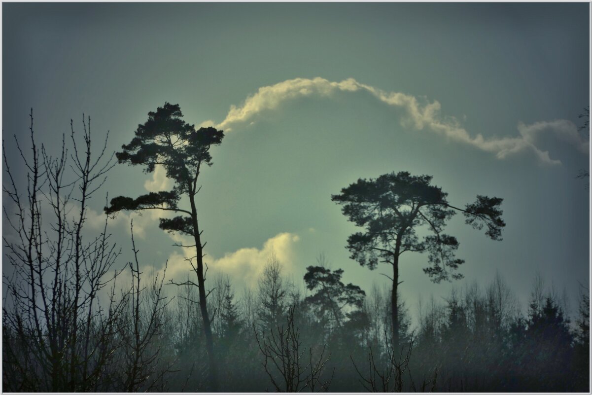 ЭТЮД... - Elvira E. 