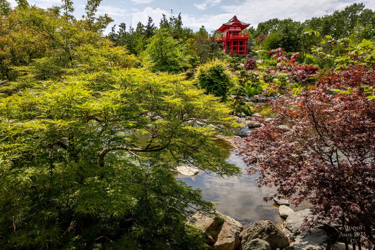 Парк Галицкого. Краснодар - Андрей Lyz