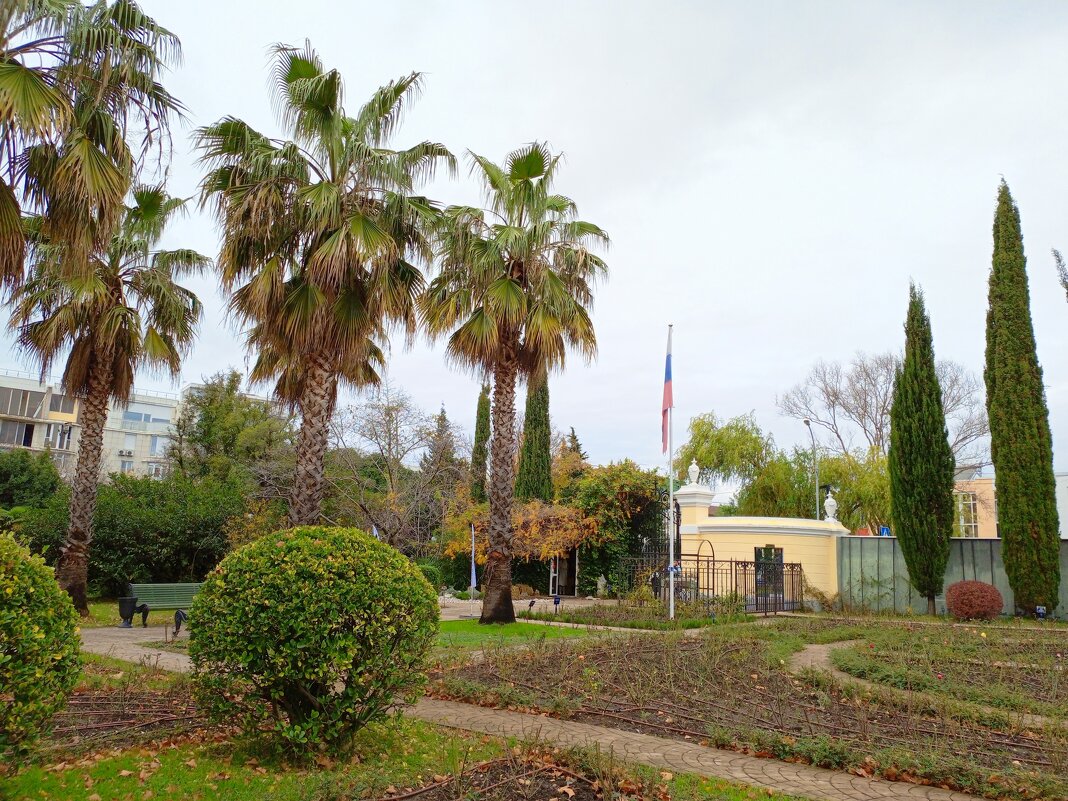 Адлер. Дендропарк "Южные культуры" - Нина Бутко Адлер. Дендропарк "Южные культуры" - Нина Бутко