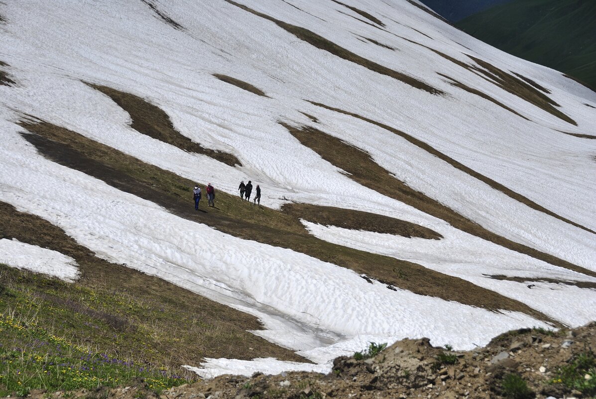 Парня в горы тяни-рискни... - Марина Виноградова