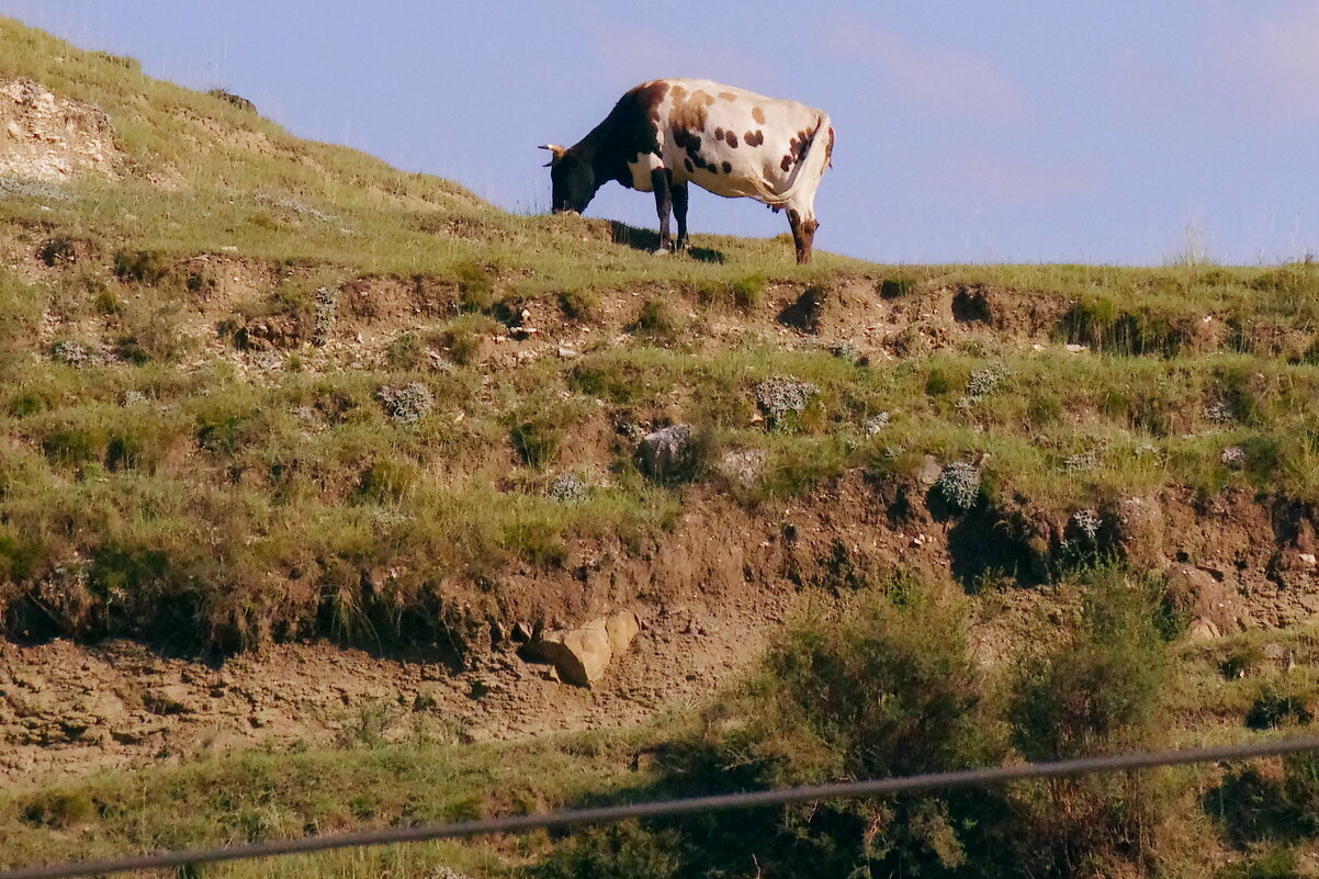 На горе - Сергей Швечков На горе - Сергей Швечков