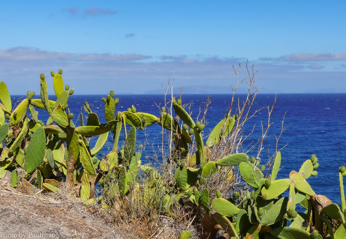На берегу... - Владимир Жданов На берегу... - Владимир Жданов