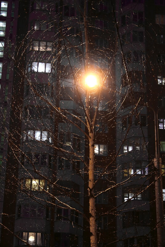 ... - Александр Кольцов ... - Александр Кольцов