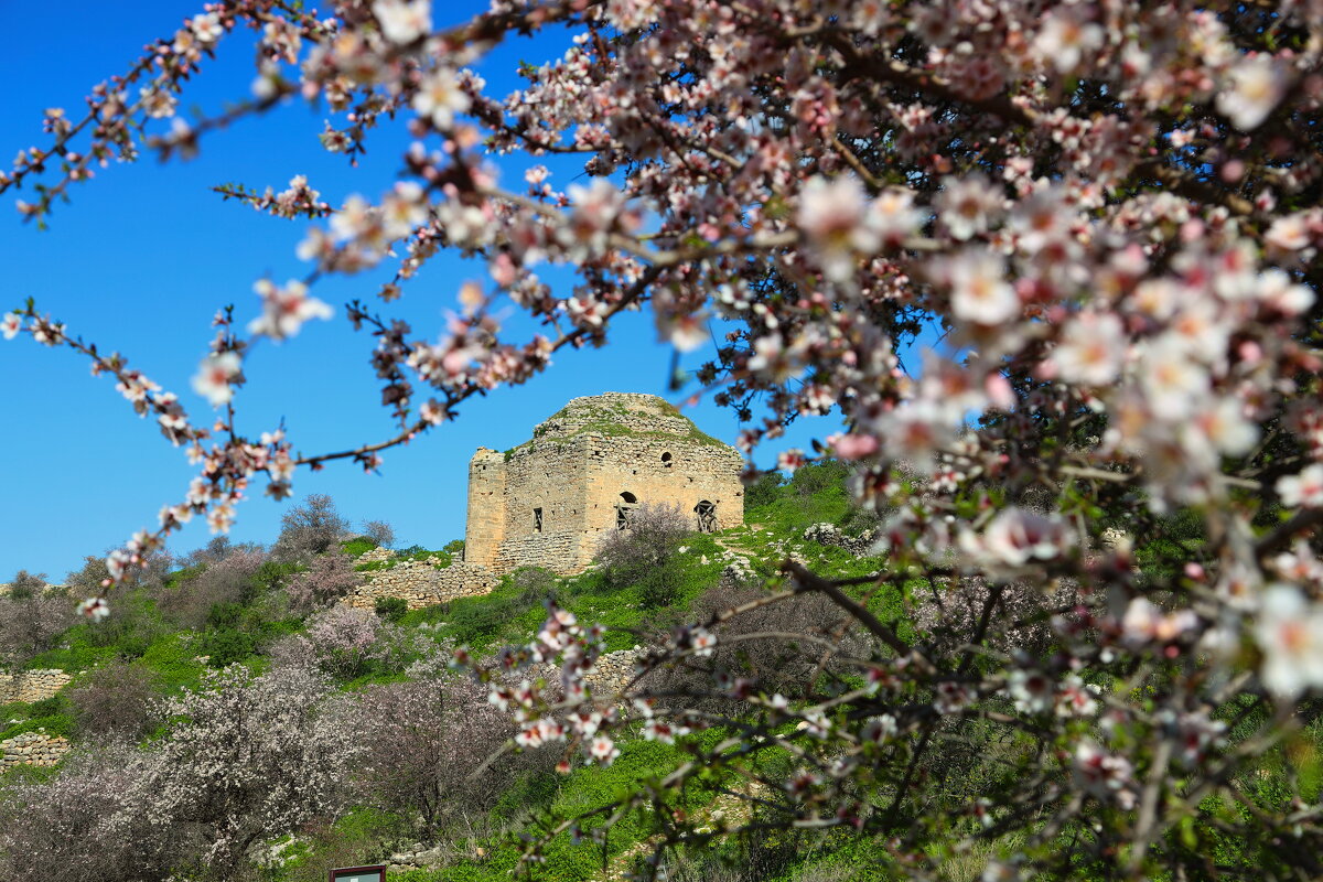 Крепость Акрокоринф. - Оля Богданович Крепость Акрокоринф. - Оля Богданович