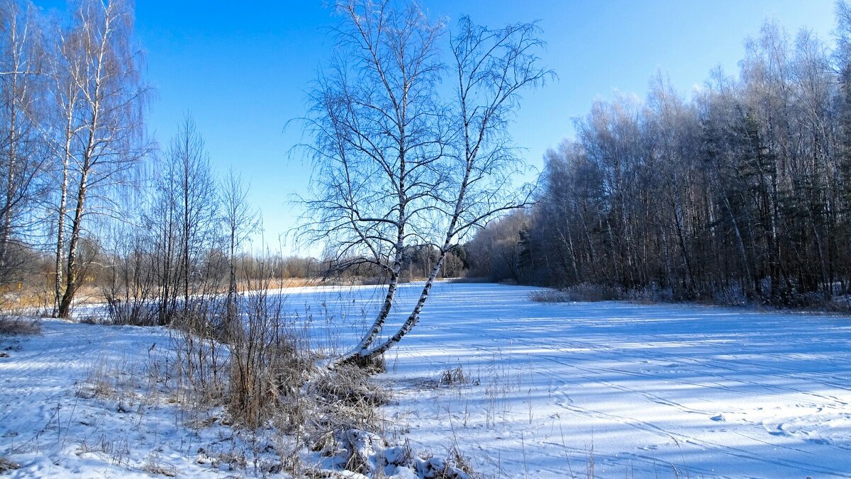Февраль - Милешкин Владимир Алексеевич Февраль - Милешкин Владимир Алексеевич