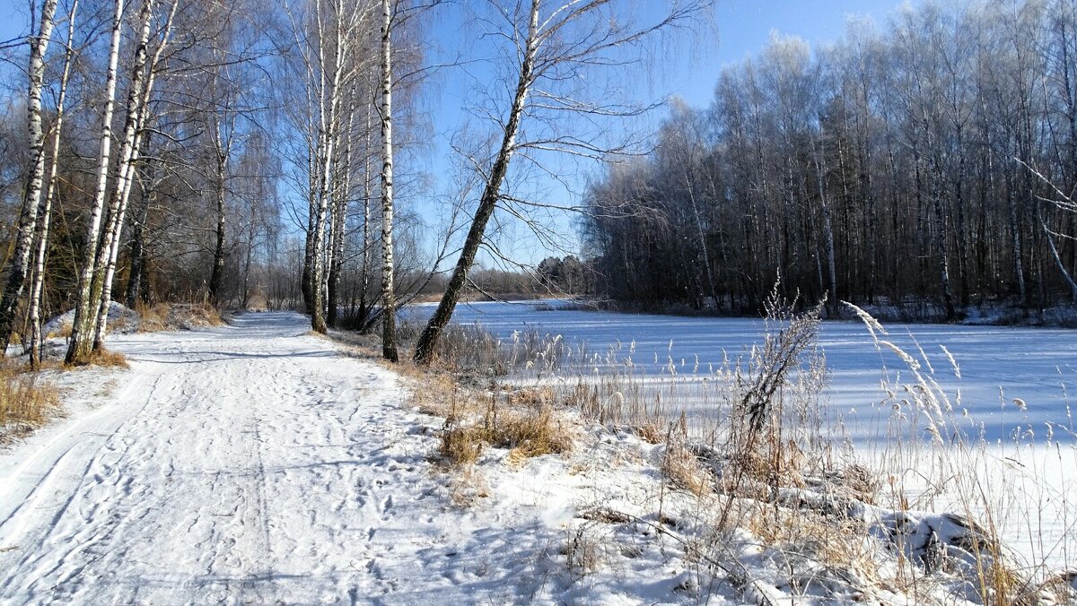 Зима - февраль. - Милешкин Владимир Алексеевич Зима - февраль. - Милешкин Владимир Алексеевич