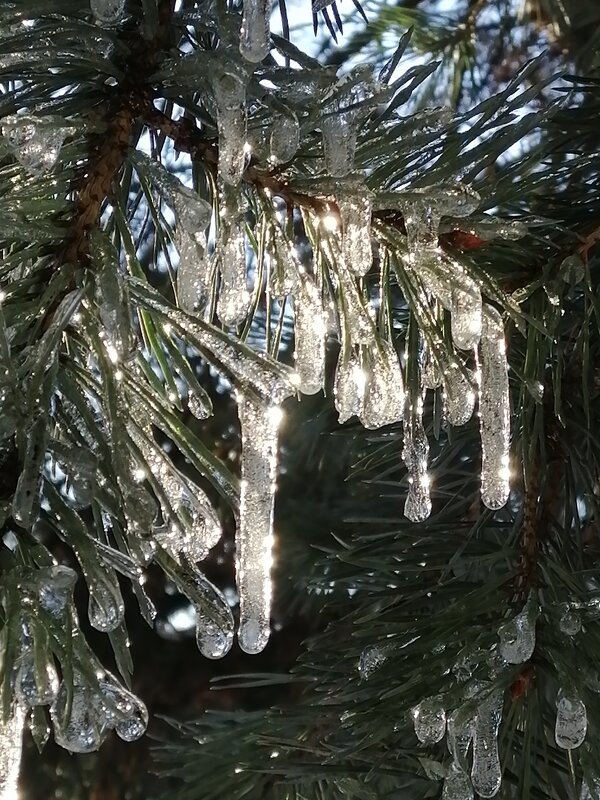 Февраль уж на дворе - Надежда 