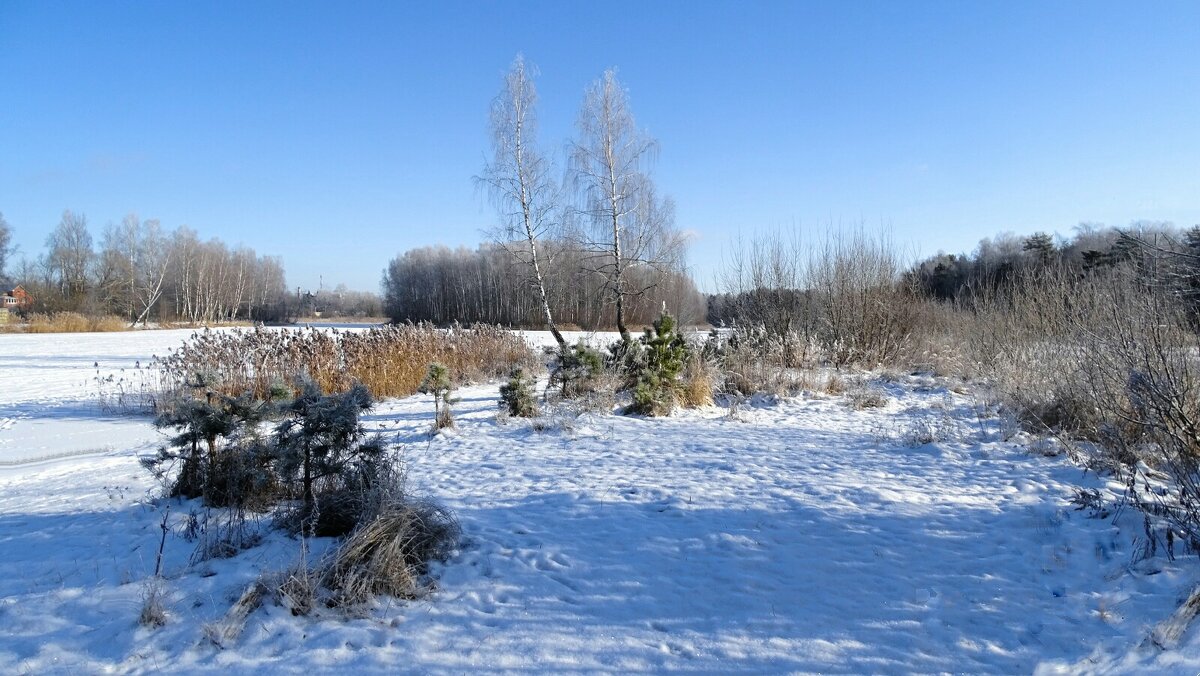 Про зиму - Милешкин Владимир Алексеевич Про зиму - Милешкин Владимир Алексеевич