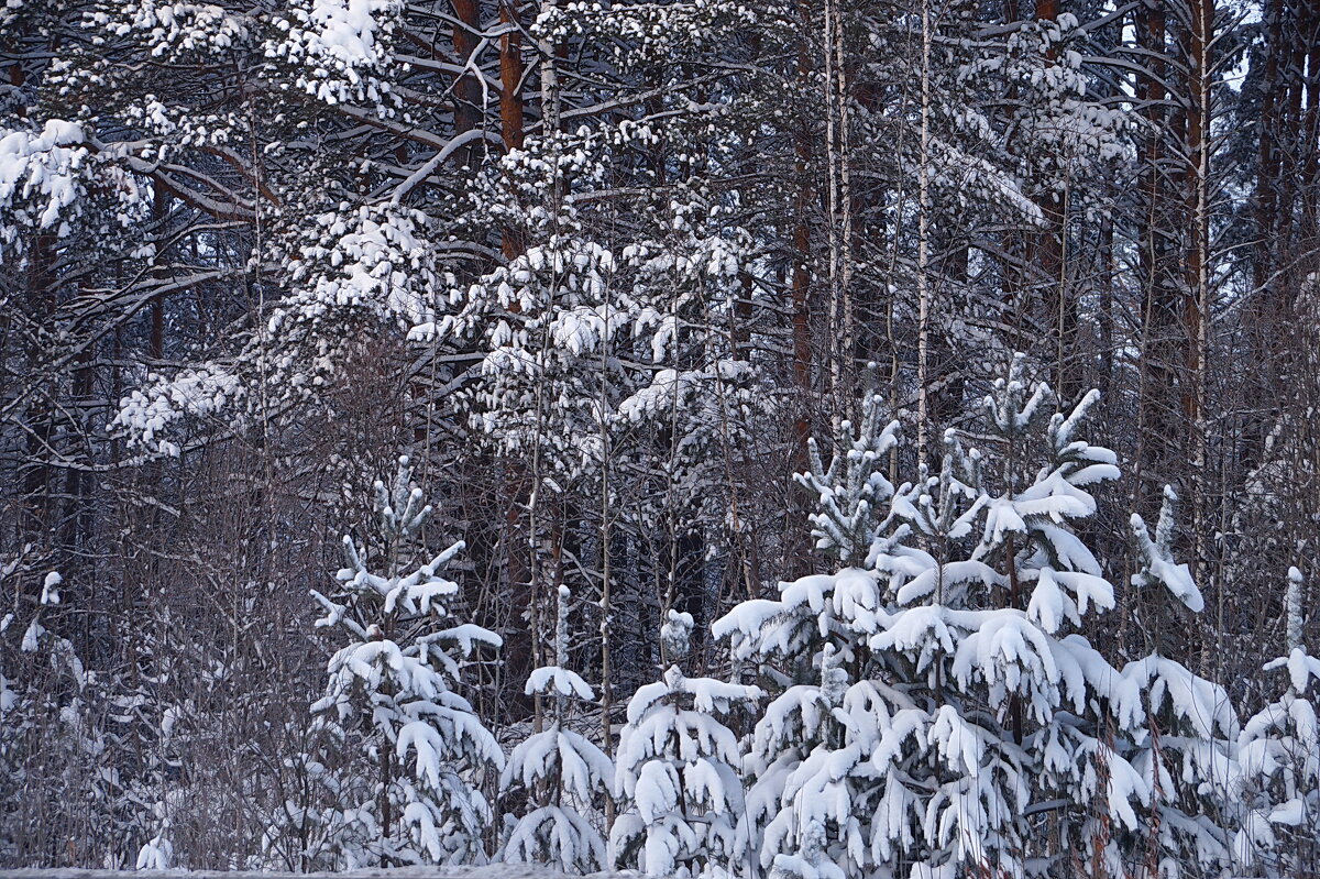 Из прошлого. Нынче снега мало - Галина Кан Из прошлого. Нынче снега мало - Галина Кан