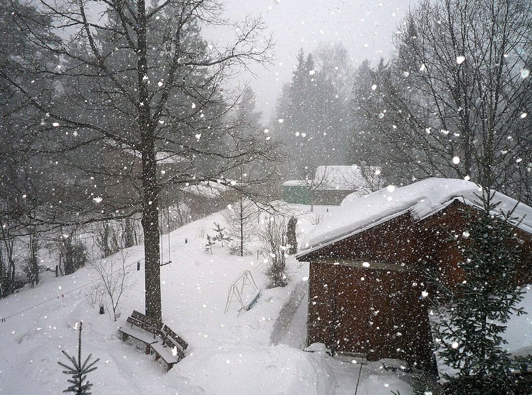 Снегопад. - Ольга Довженко Снегопад. - Ольга Довженко