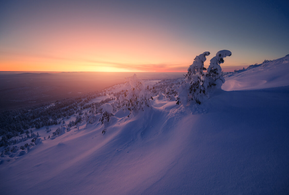 * - Александр Иванов