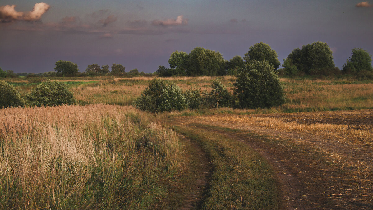 Красота - Sergei Vikulov Красота - Sergei Vikulov