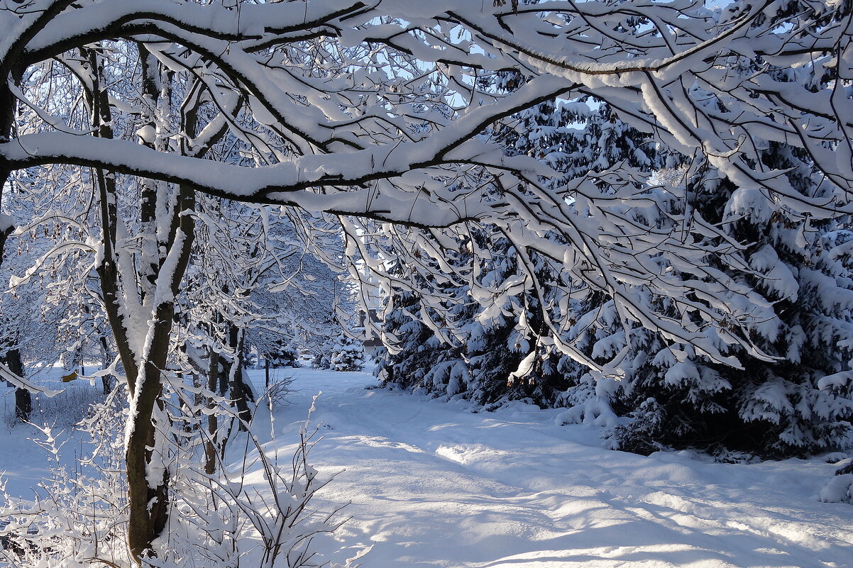 Снежный февраль - Рита Симонова