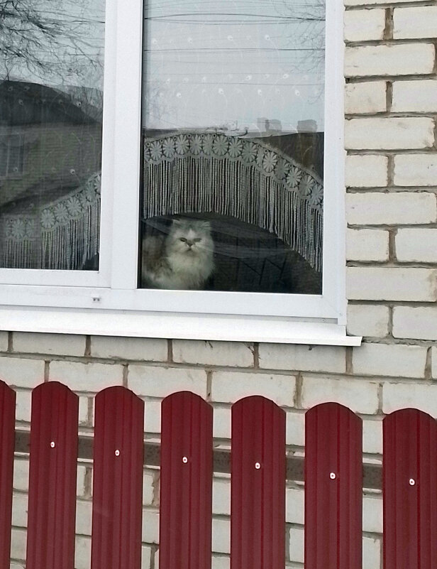 *** - Валентина Береснева