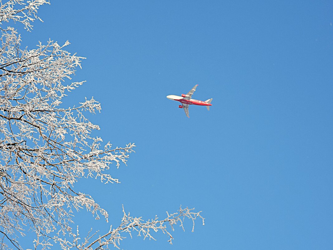 Пролетая над... - Мария Васильева