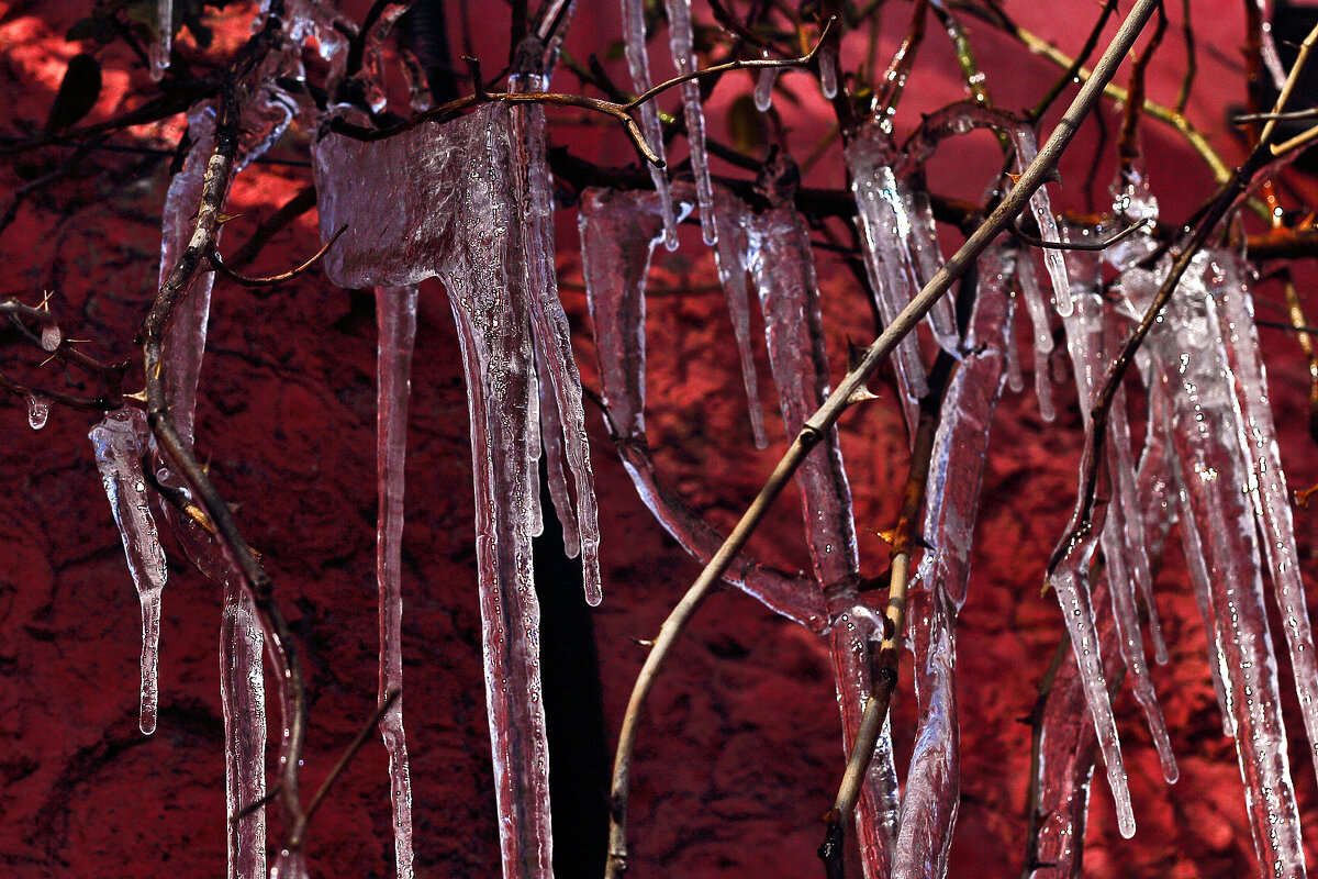 Когда нет снега - Юрий Гайворонскiий