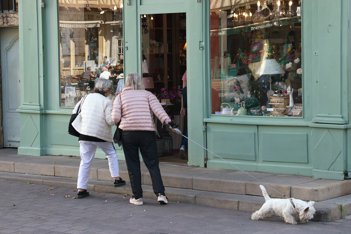 Дамы с собачкой - Sergey Grim