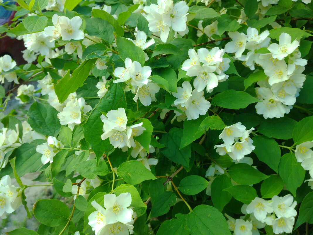 ,,, - Сергей Тимоновский