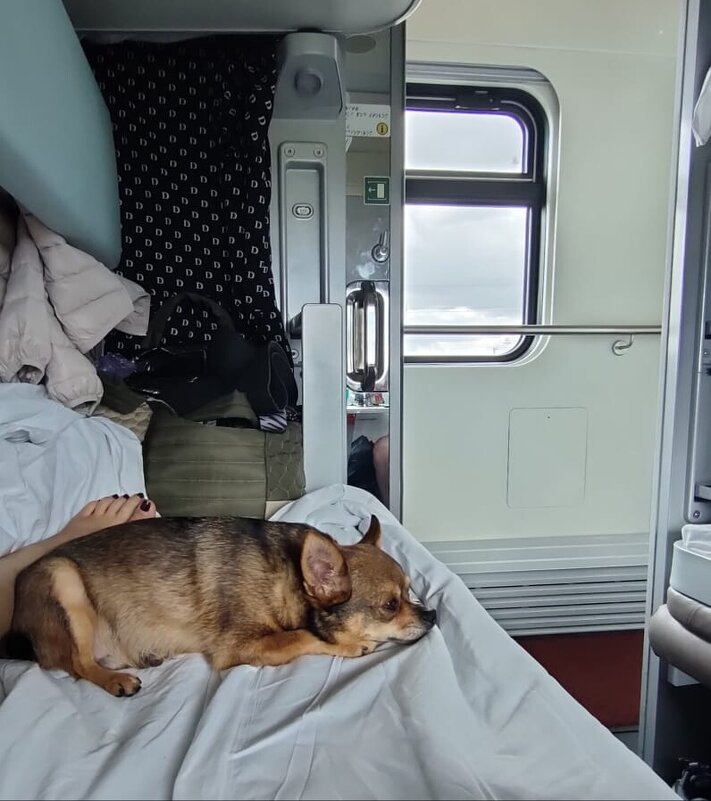 Мы едем, едем, едем... - Венера Чуйкова