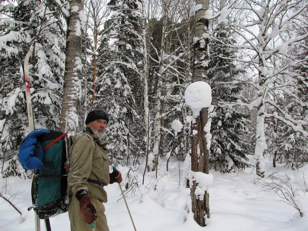 Таёжник - Galaelina *** Таёжник - Galaelina ***