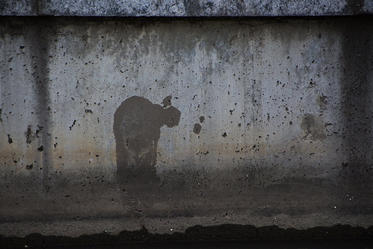 *** - ChiVas *** - ChiVas