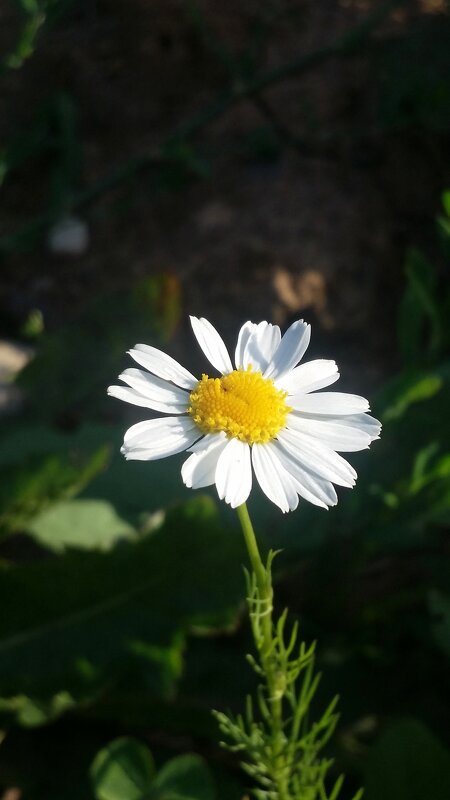 ... - Наталия Кольцова