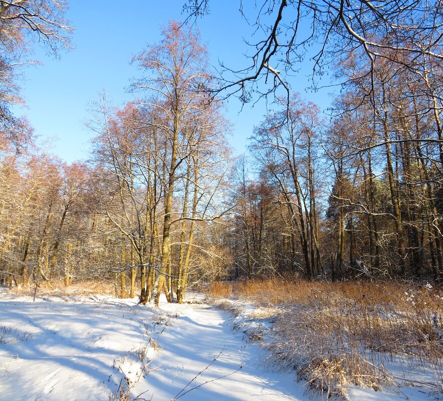 Русло под снегом - Андрей Снегерёв Русло под снегом - Андрей Снегерёв