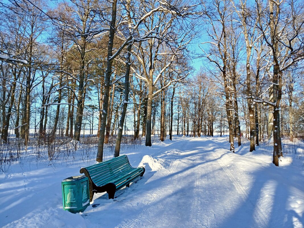 Аллея, ведущая к заливу. - Лия ☼