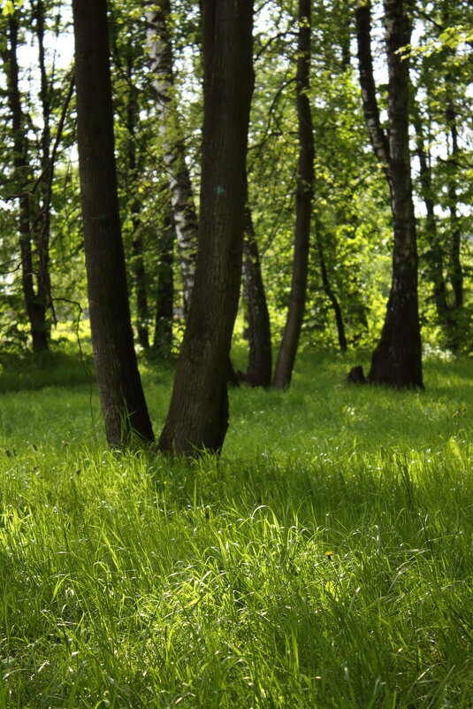 ... - Александр Кольцов ... - Александр Кольцов